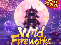 wild-fireworks_web_banner_500_500_en.png