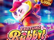 fortune-rabbit_web-banner_en.jpg