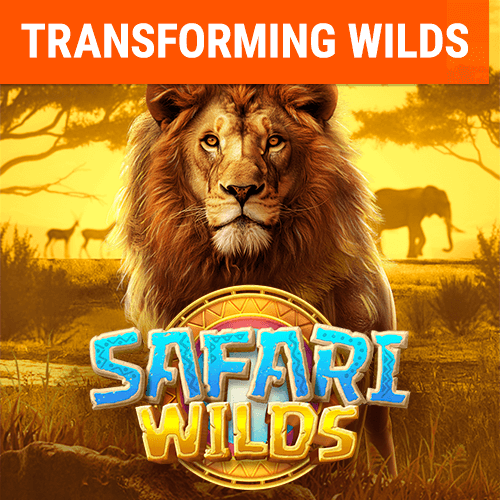 safari-wilds_web-banner_en.png