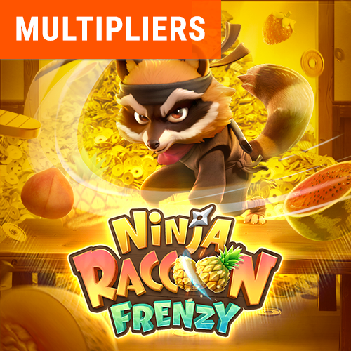 ninja-raccoon-frenzy_web-banner_en.png