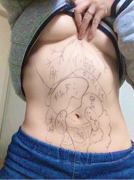 유익한 인간의 장기위치