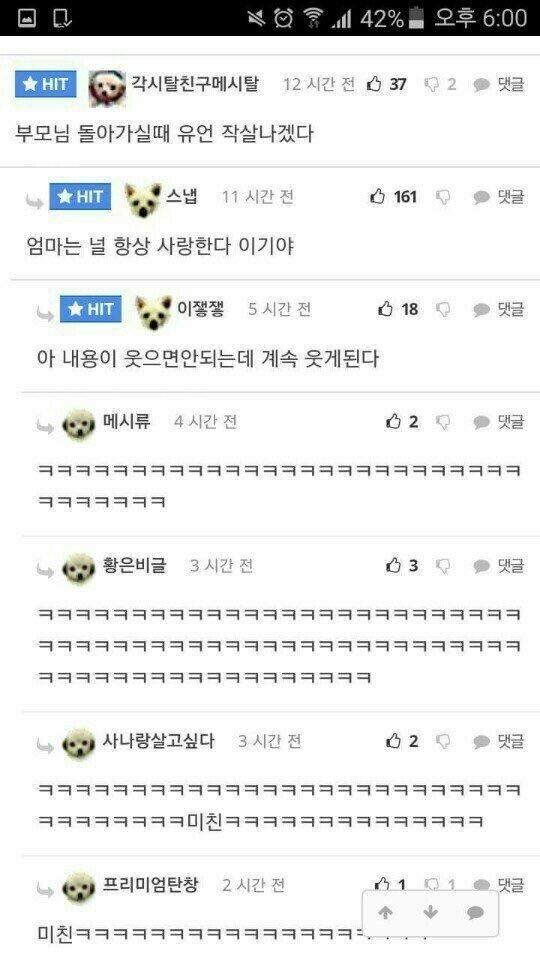 억울한 이름 총집합