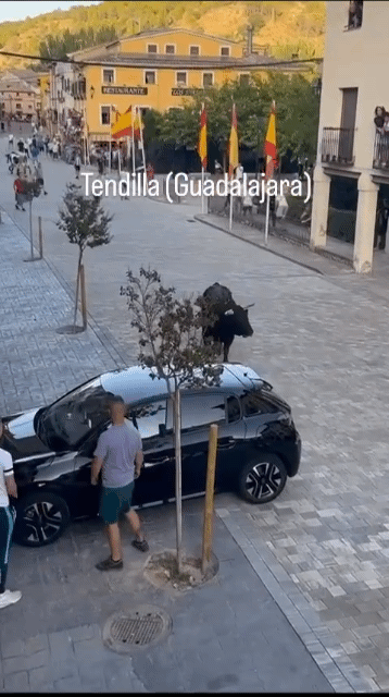 영상이 없었다면 보험사에서 안 믿을 상황