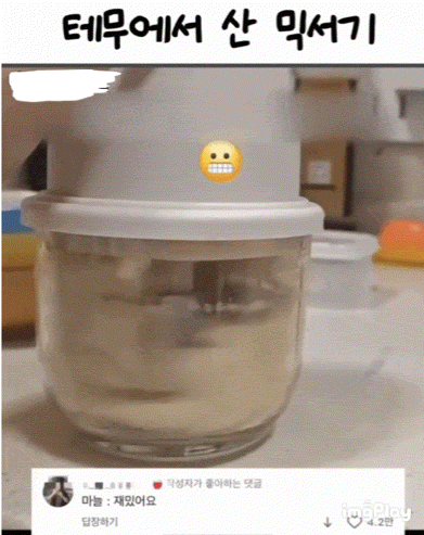 테무 믹서기 구입후기