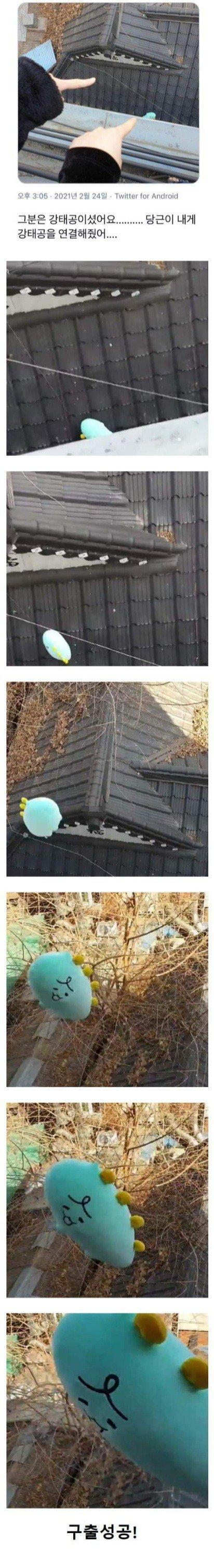 당근마켓 강태공