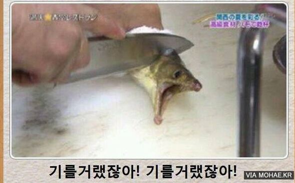 제목학원 모음집