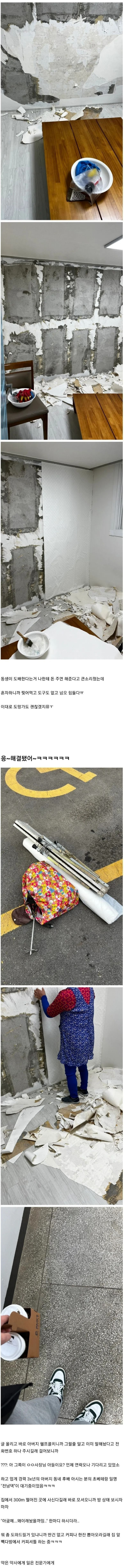 집 도배 해준다고 큰소리친 형