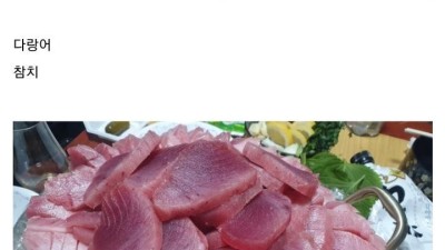 회에 진심인 디시인