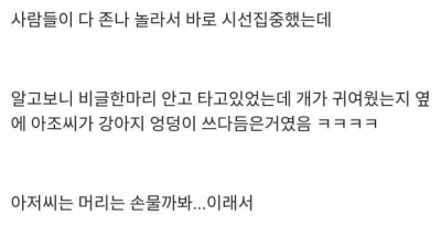 엉덩이 왜 만지세요를 직접 본 사람