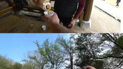 한국 절 구경하러 간 외국 유튜버