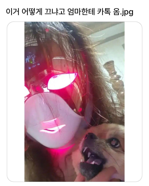 이거 어케 끄냐고 엄마한테 카톡옴