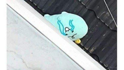 당근마켓 강태공