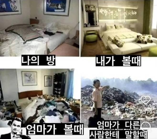 엄마가 보는 나 모음집