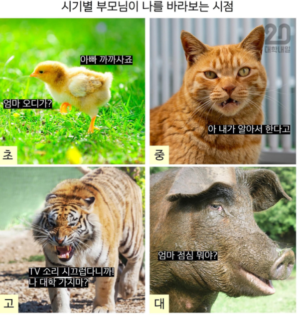 엄마가 보는 나 모음집