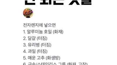 전자렌지에 넣으면 안되는 것들