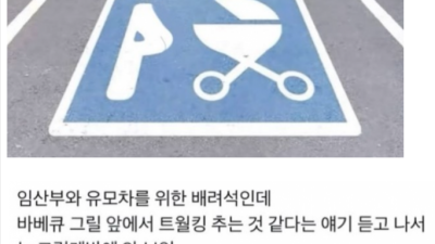 임산부와 유모차를 위한 배려석