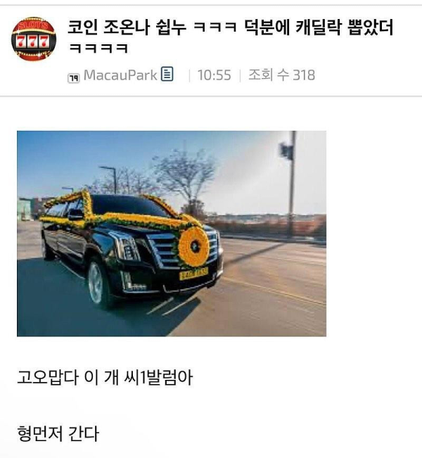 코인으로 캐딜락 뽑았다