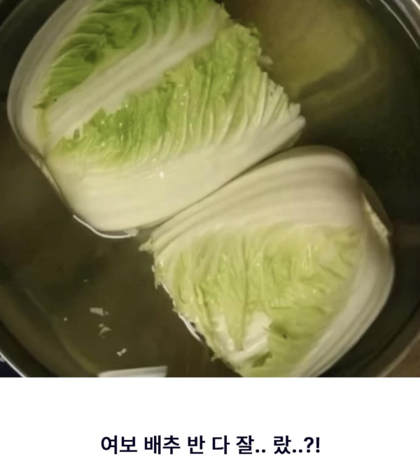 말 잘듣는 착한 남편들