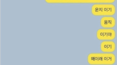 자동완성의 위험성