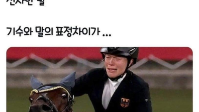 올림픽 승마대회에서 생긴 일