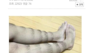 혐) 다리털 아티스트