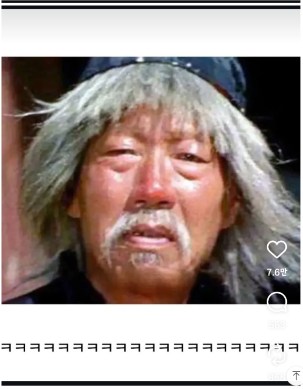 강아지 셀프 미용 대 참사