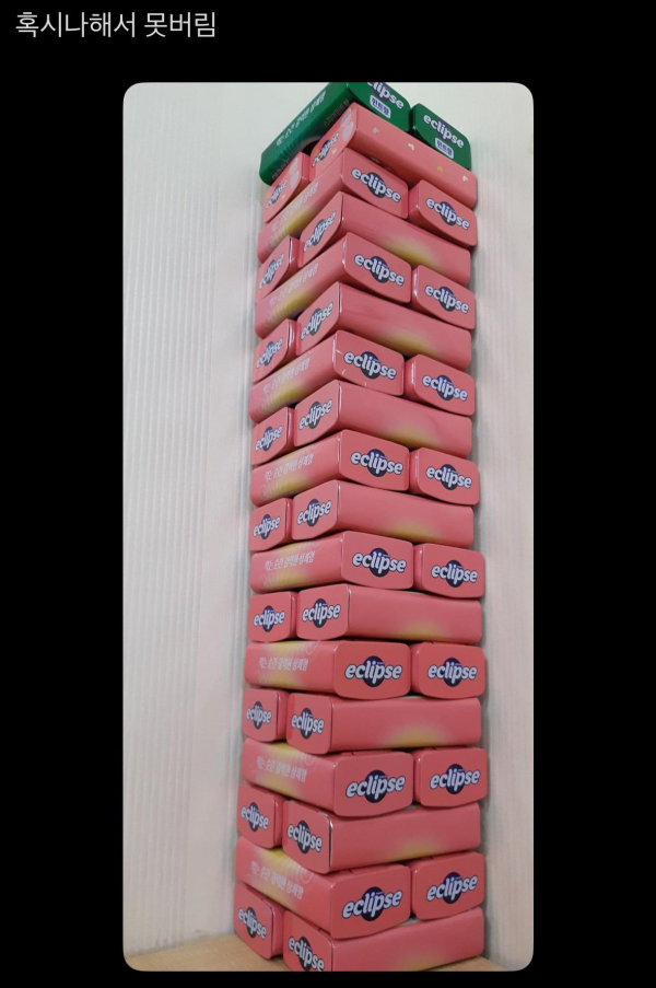 이쁜 쓰레기 수집가들