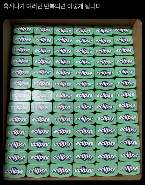 이쁜 쓰레기 수집가들