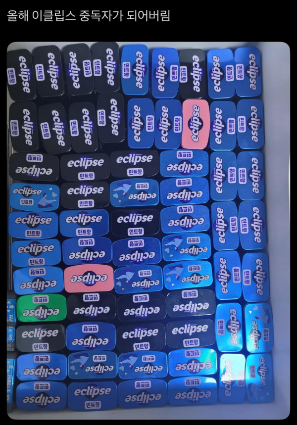 이쁜 쓰레기 수집가들