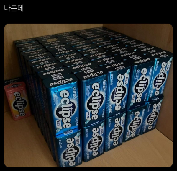 이쁜 쓰레기 수집가들