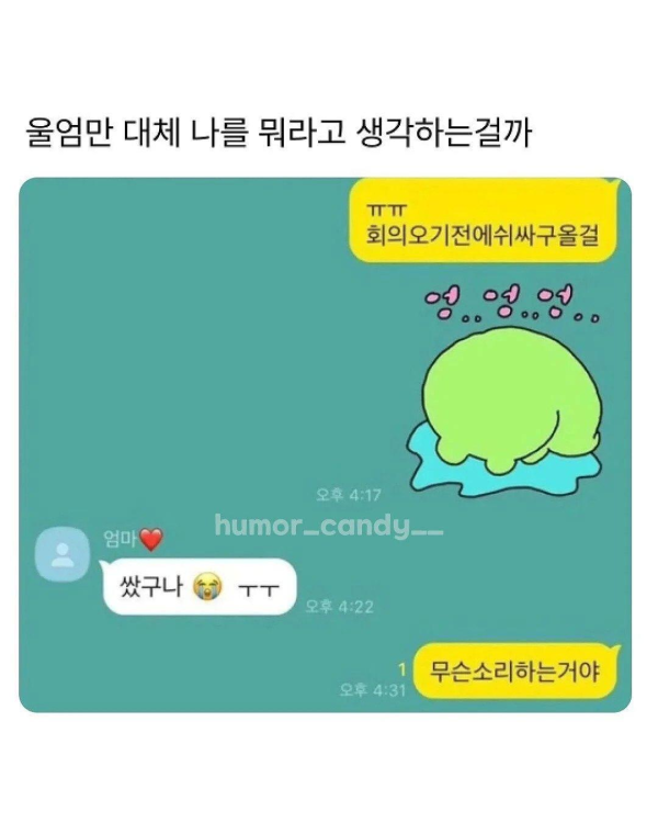 엄마와의 카톡 내용