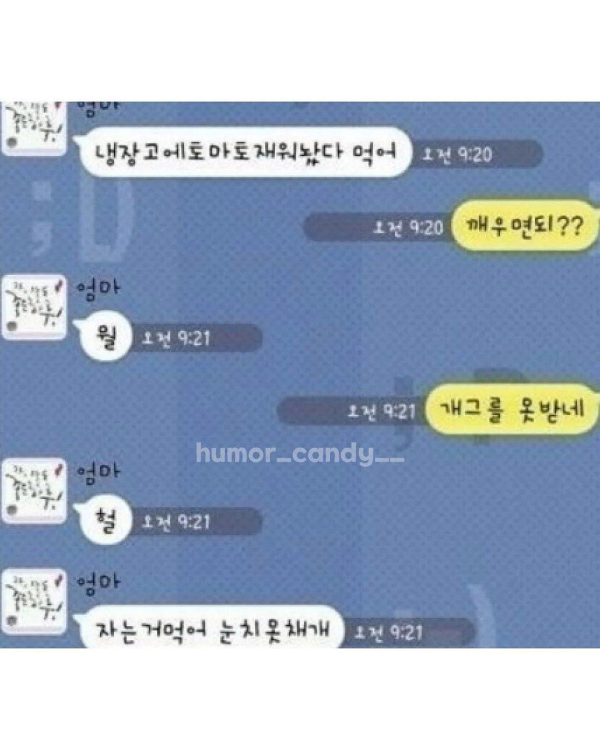 엄마와의 카톡 내용