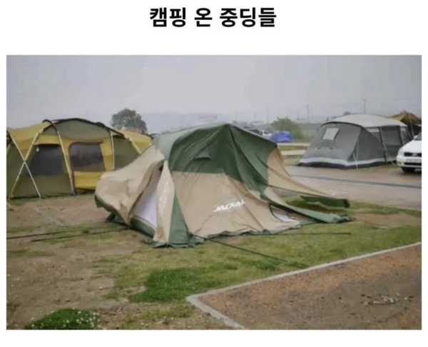 캠핑장에 출몰한 중딩들