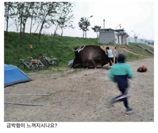 캠핑장에 출몰한 중딩들