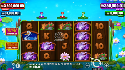 타이니 토드 Tiny Toads[슬롯까불이]