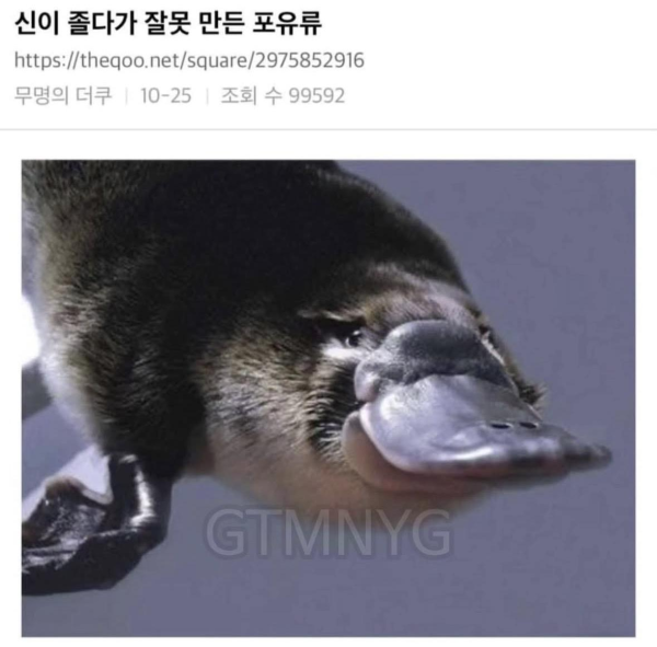 신이 졸다가 잘못만든 포유류