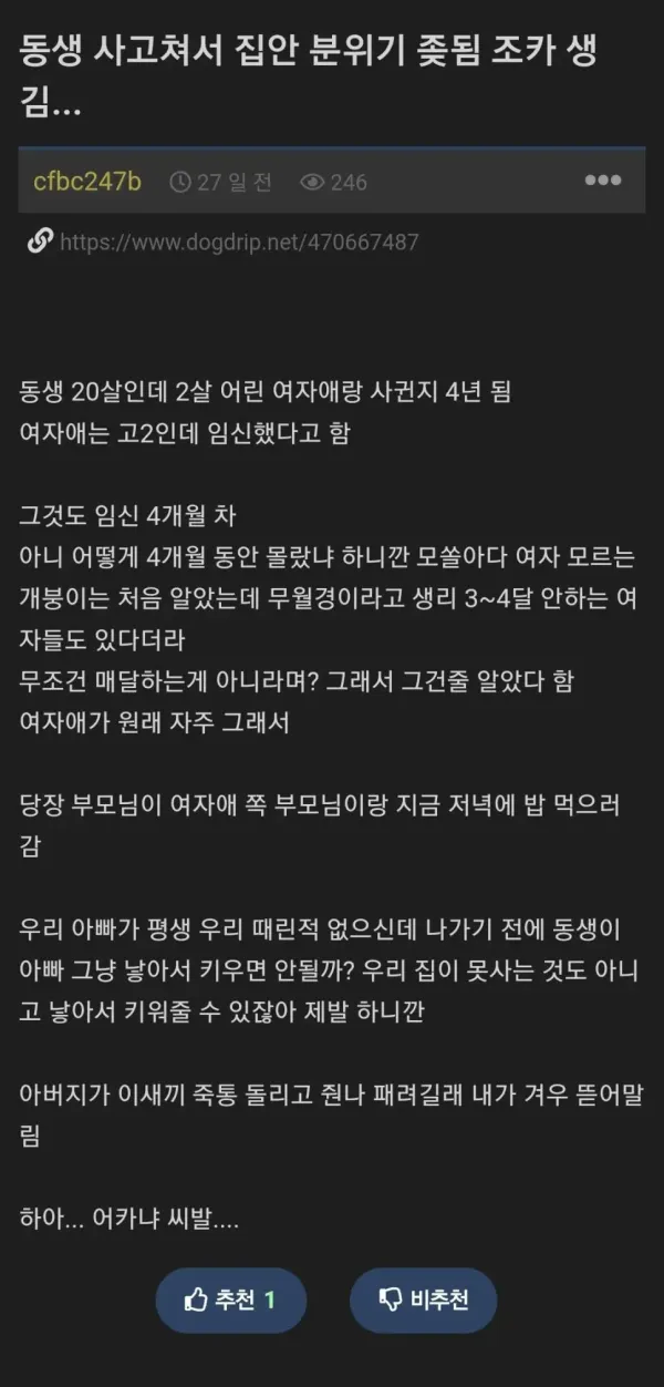 스무살 동생이 여친 임신시킴