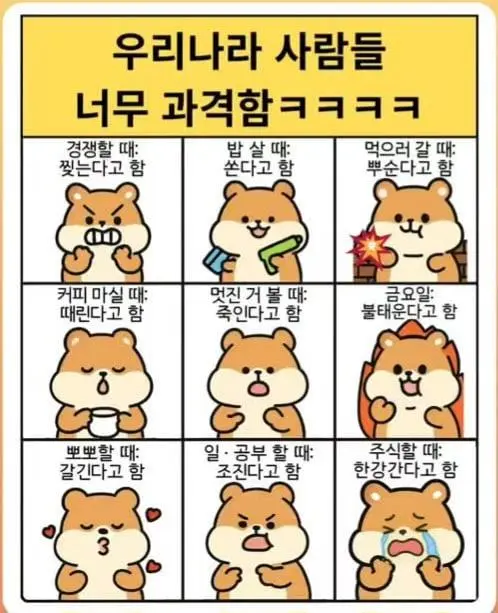 한국인 표현 특