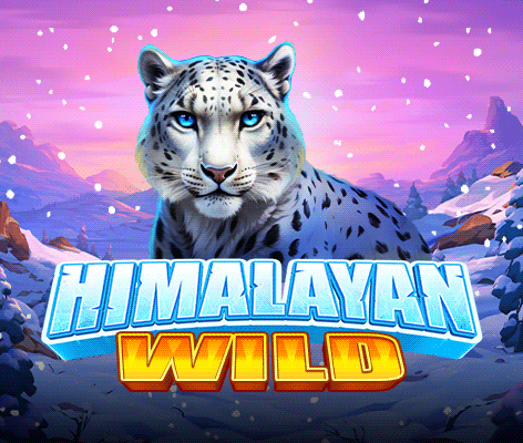 히말라얀 와일드