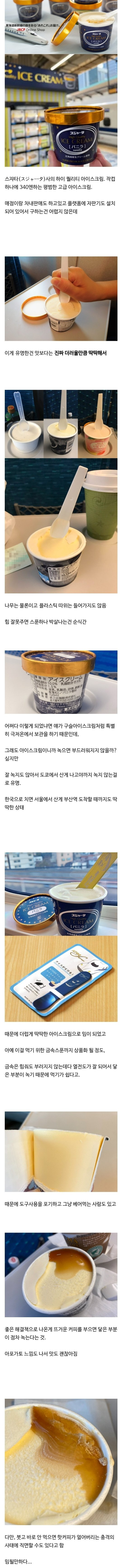 일본의 고급 아이스크림