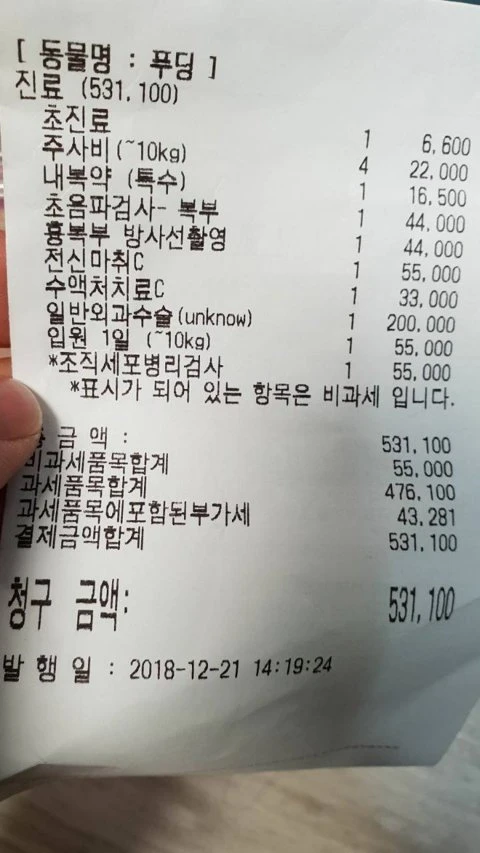 햄스터 병원비를 본 네티즌들 반응 모음
