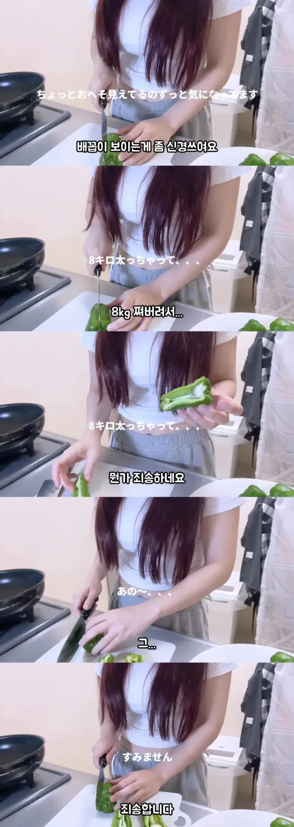 8kg 쪄서 사과하는 일본 스트리머