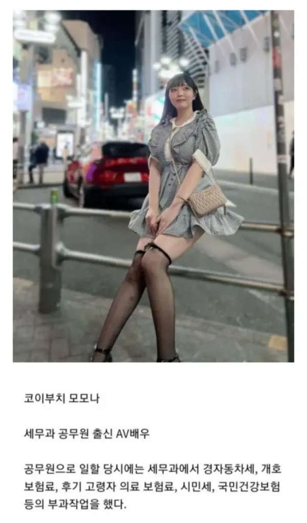 공무원 관두고 AV배우