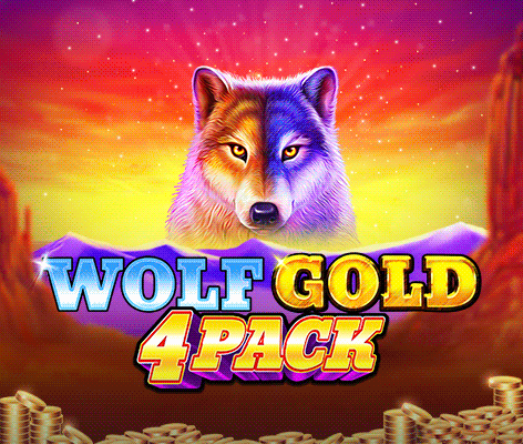 울프 골드 4 팩