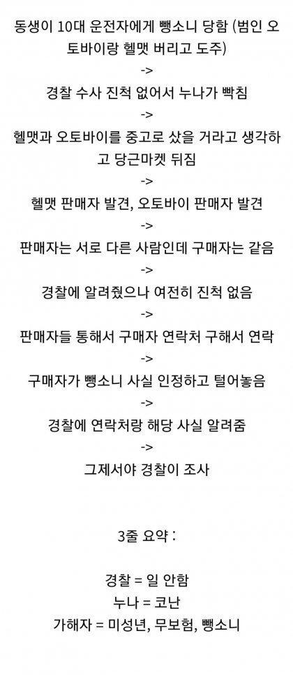 당근마켓 뒤져 뺑소니범 찾은 누나