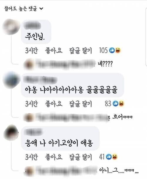 이거 회떠서 고양이 줘도 되나요?