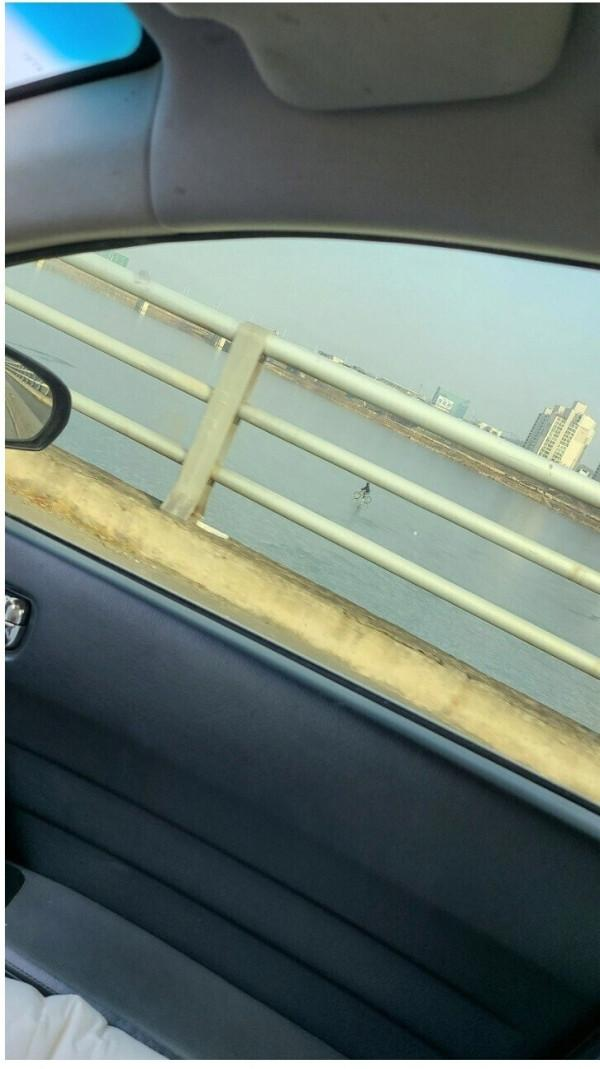 한강에 등장한 무면허라이더