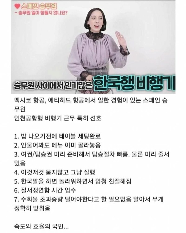 스페인 승무원이 생각하는 한국인 승객 특징