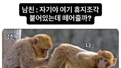장기연애 커플