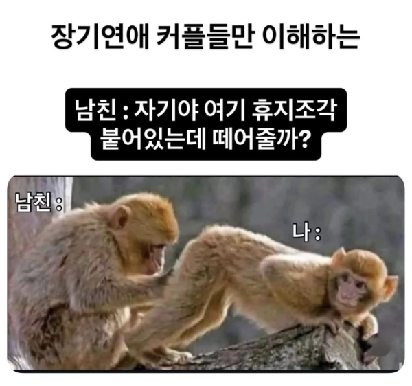 장기연애 커플